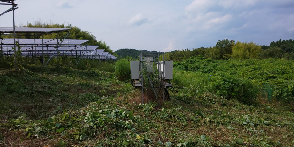 昨年の様子