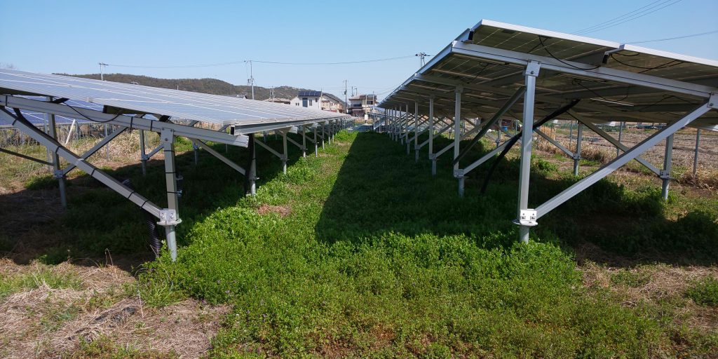 3月の除草作業開始時