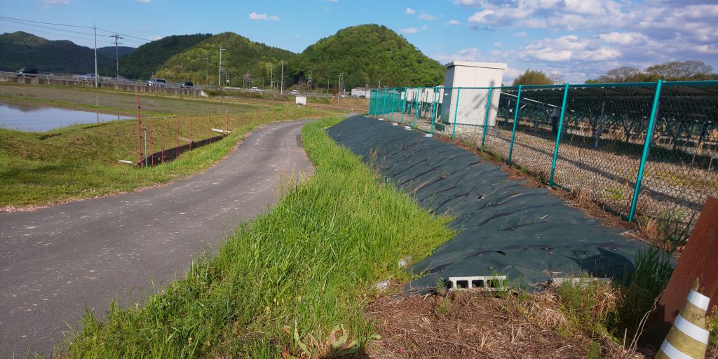 除草剤が無いと