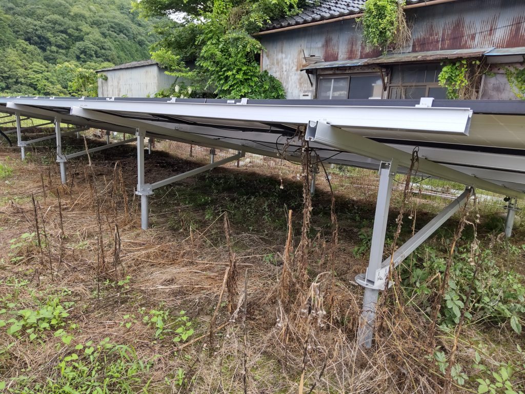 除草剤の効果