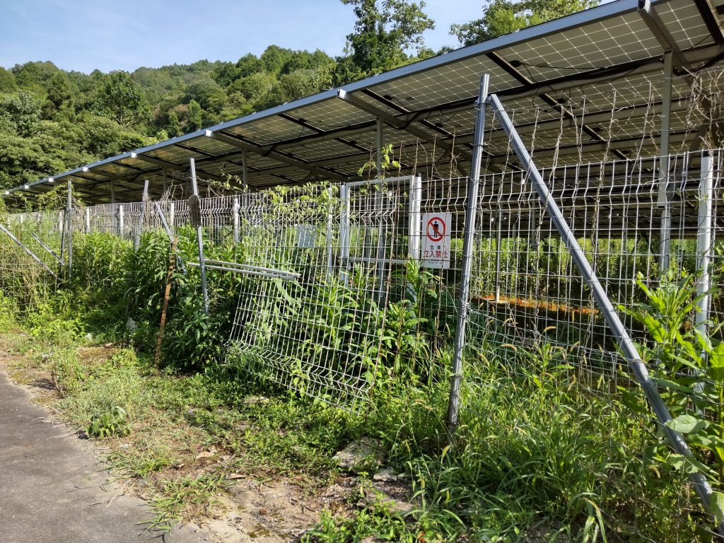 草だらけの発電所