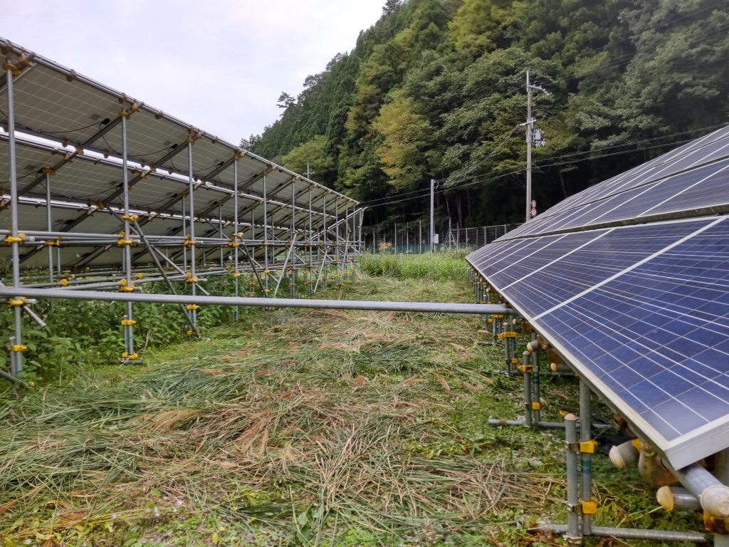 美山、刈払い後