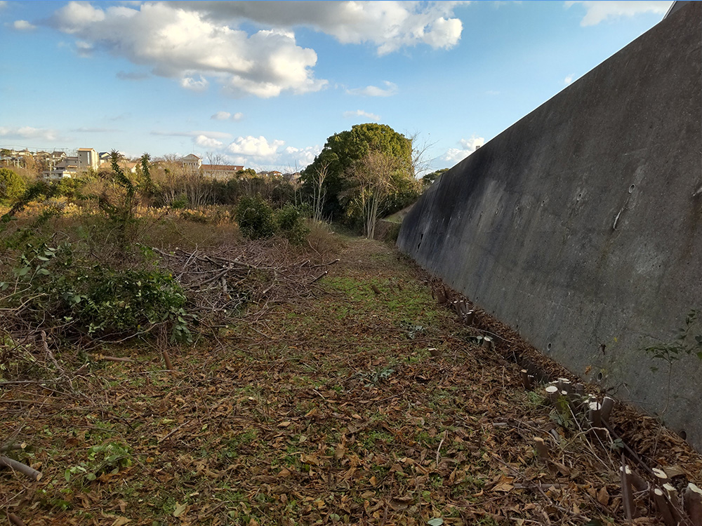 除草作業後