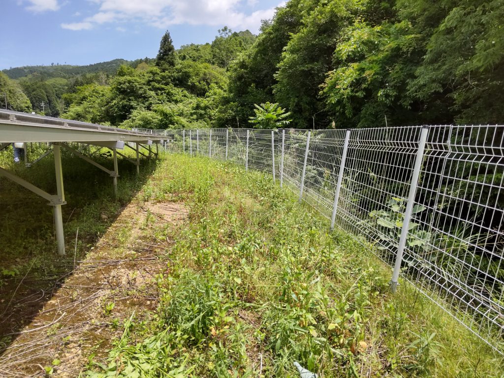 雑草を鎌で刈る