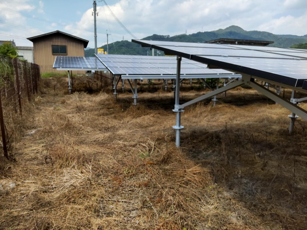 自社発電所の除草作業